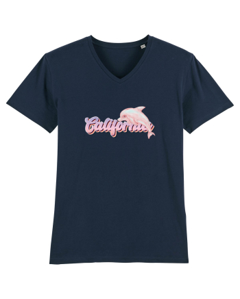 California  French Navy