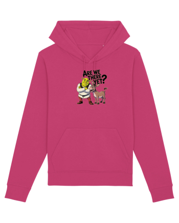 ARE WE THERE YET? - MAI AVEM PANA AJUNGEM? 2 Raspberry