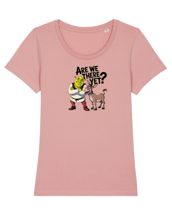 ARE WE THERE YET? - MAI AVEM PANA AJUNGEM? 2 Canyon Pink