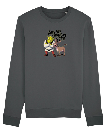 ARE WE THERE YET? - MAI AVEM PANA AJUNGEM? 2 Anthracite