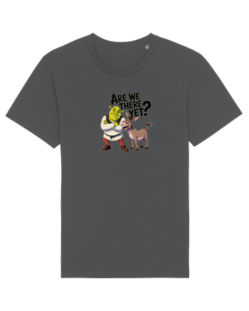 ARE WE THERE YET? - MAI AVEM PANA AJUNGEM? 2 Anthracite