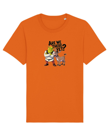ARE WE THERE YET? - MAI AVEM PANA AJUNGEM? 2 Bright Orange