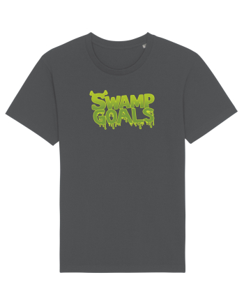 SWAMP GOALS  Anthracite
