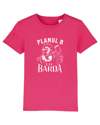 Planul B e cu BARDA - Școala veche Raspberry