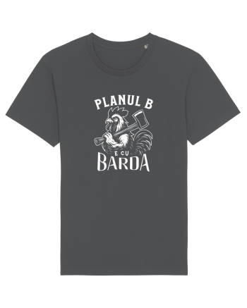 Planul B e cu BARDA - Școala veche Anthracite