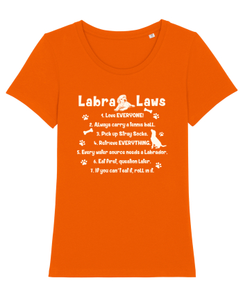 Labrador Laws Bright Orange