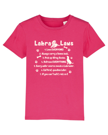 Labrador Laws Raspberry