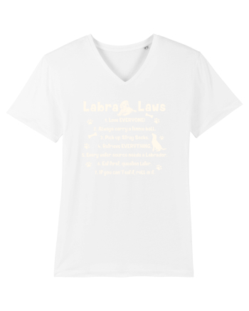 Labrador Laws White