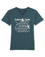 Labrador Laws Tricou mânecă scurtă guler V Bărbat Presenter