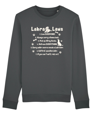 Labrador Laws Anthracite