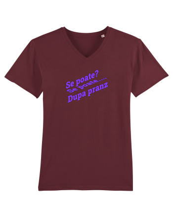 Se poate? Se poate... După prânz  Burgundy