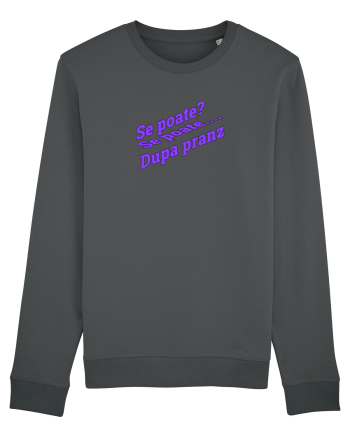 Se poate? Se poate... După prânz  Anthracite