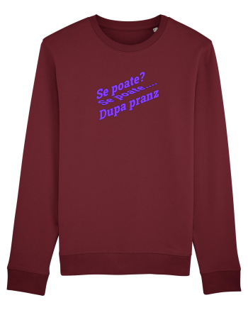 Se poate? Se poate... După prânz  Burgundy