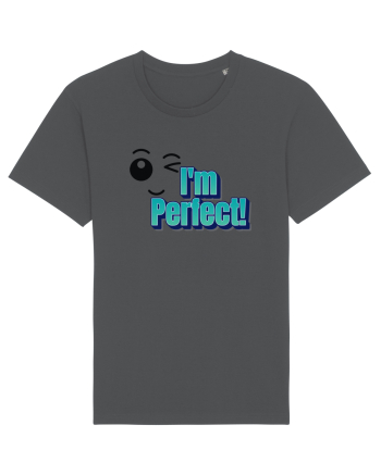 I'm perfect  Anthracite
