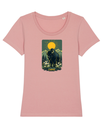 ZIMBRU - PRIMAVARA - MUNTI -CARPATI -  BRAZI -SOARE   Canyon Pink