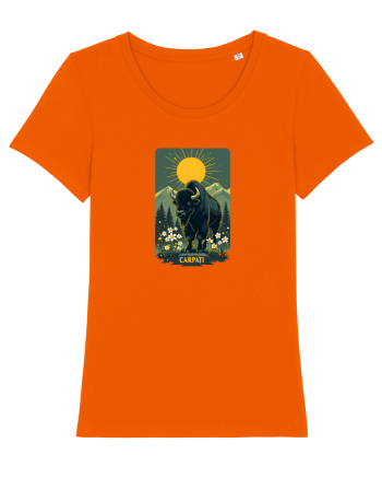 ZIMBRU - PRIMAVARA - MUNTI -CARPATI -  BRAZI -SOARE   Bright Orange