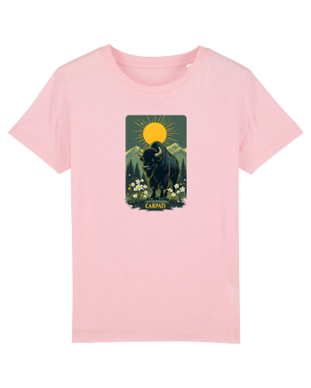ZIMBRU - PRIMAVARA - MUNTI -CARPATI -  BRAZI -SOARE   Cotton Pink