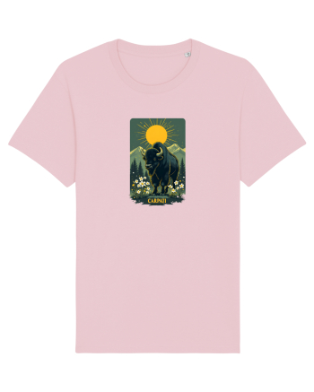 ZIMBRU - PRIMAVARA - MUNTI -CARPATI -  BRAZI -SOARE   Cotton Pink