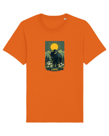 ZIMBRU - PRIMAVARA - MUNTI -CARPATI -  BRAZI -SOARE   Bright Orange
