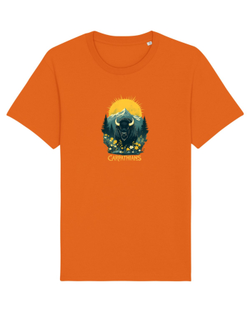 ZIMBRU - PRIMAVARA - MUNTI -CARPATHIANS -  BRAZI -SOARE  2 Bright Orange