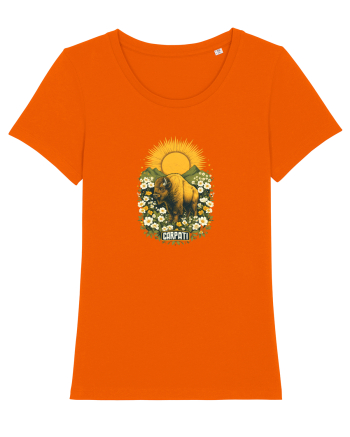 ZIMBRU - PRIMAVARA - MUNTI -CARPATHIANS -  BRAZI -SOARE  3 Bright Orange