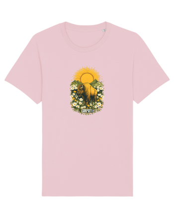 ZIMBRU - PRIMAVARA - MUNTI -CARPATHIANS -  BRAZI -SOARE  3 Cotton Pink