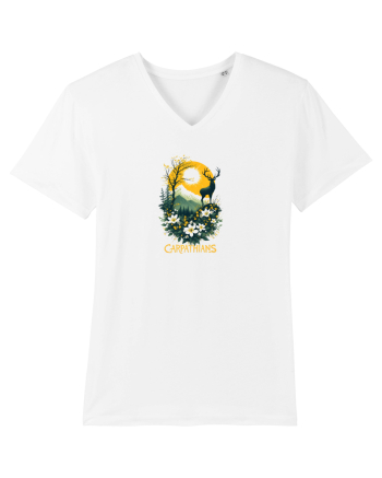 CERB - PRIMAVARA - MUNTI - CARPATHIANS -  BRAZI -SOARE  2 White