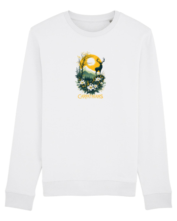 CERB - PRIMAVARA - MUNTI - CARPATHIANS -  BRAZI -SOARE  2 White
