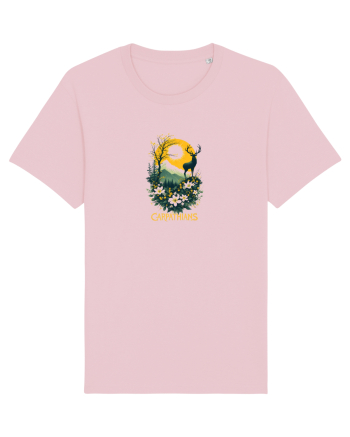 CERB - PRIMAVARA - MUNTI - CARPATHIANS -  BRAZI -SOARE  2 Cotton Pink