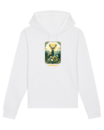 CERB - PRIMAVARA - MUNTI - CARPATHIANS -  BRAZI -SOARE  3 White
