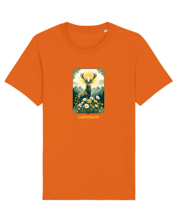 CERB - PRIMAVARA - MUNTI - CARPATHIANS -  BRAZI -SOARE  3 Bright Orange
