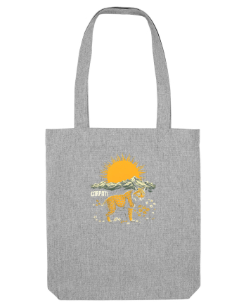 RAS / LYNX - PRIMAVARA - MUNTI - CARPATI -  BRAZI -SOARE   Heather Grey