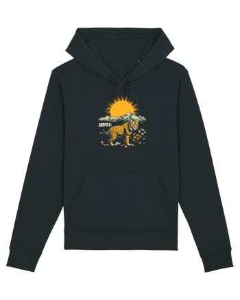 RAS / LYNX - PRIMAVARA - MUNTI - CARPATI -  BRAZI -SOARE   Black