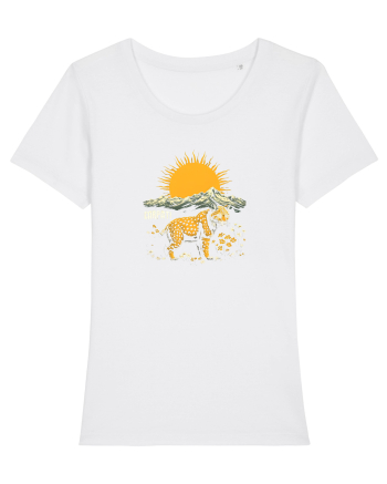 RAS / LYNX - PRIMAVARA - MUNTI - CARPATI -  BRAZI -SOARE   White