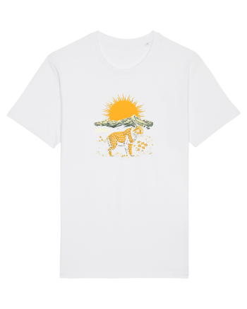 RAS / LYNX - PRIMAVARA - MUNTI - CARPATI -  BRAZI -SOARE   White