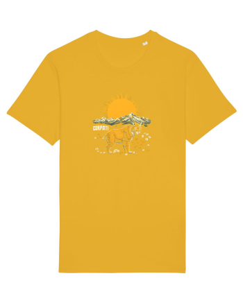 RAS / LYNX - PRIMAVARA - MUNTI - CARPATI -  BRAZI -SOARE   Spectra Yellow