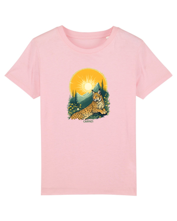 RAS / LYNX - PRIMAVARA - MUNTI - CARPATI -  BRAZI -SOARE  3 Cotton Pink