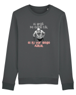 AI GRIJA DE COPIII TAI, EI ITI VOR ALEGE AZILUL - batran 3 Bluză mânecă lungă Unisex Rise