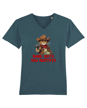 BANII, VIATA SAU MUSTATA - MOTAN COWBOY Stargazer