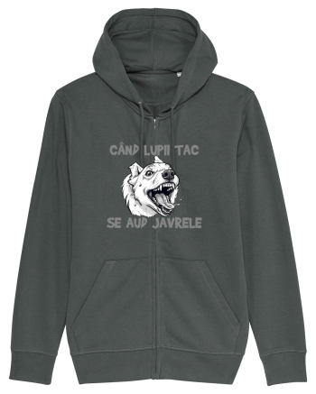 CAND LUPII TAC, SE AUD JAVRELE 1 Anthracite