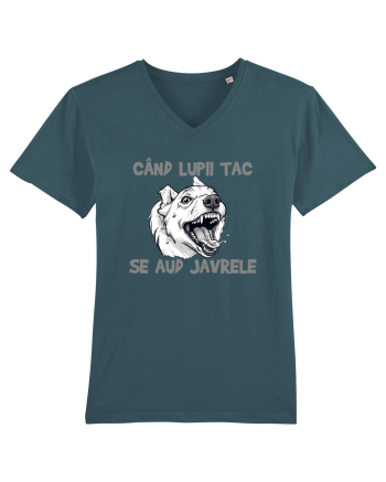 CAND LUPII TAC, SE AUD JAVRELE 1 Stargazer