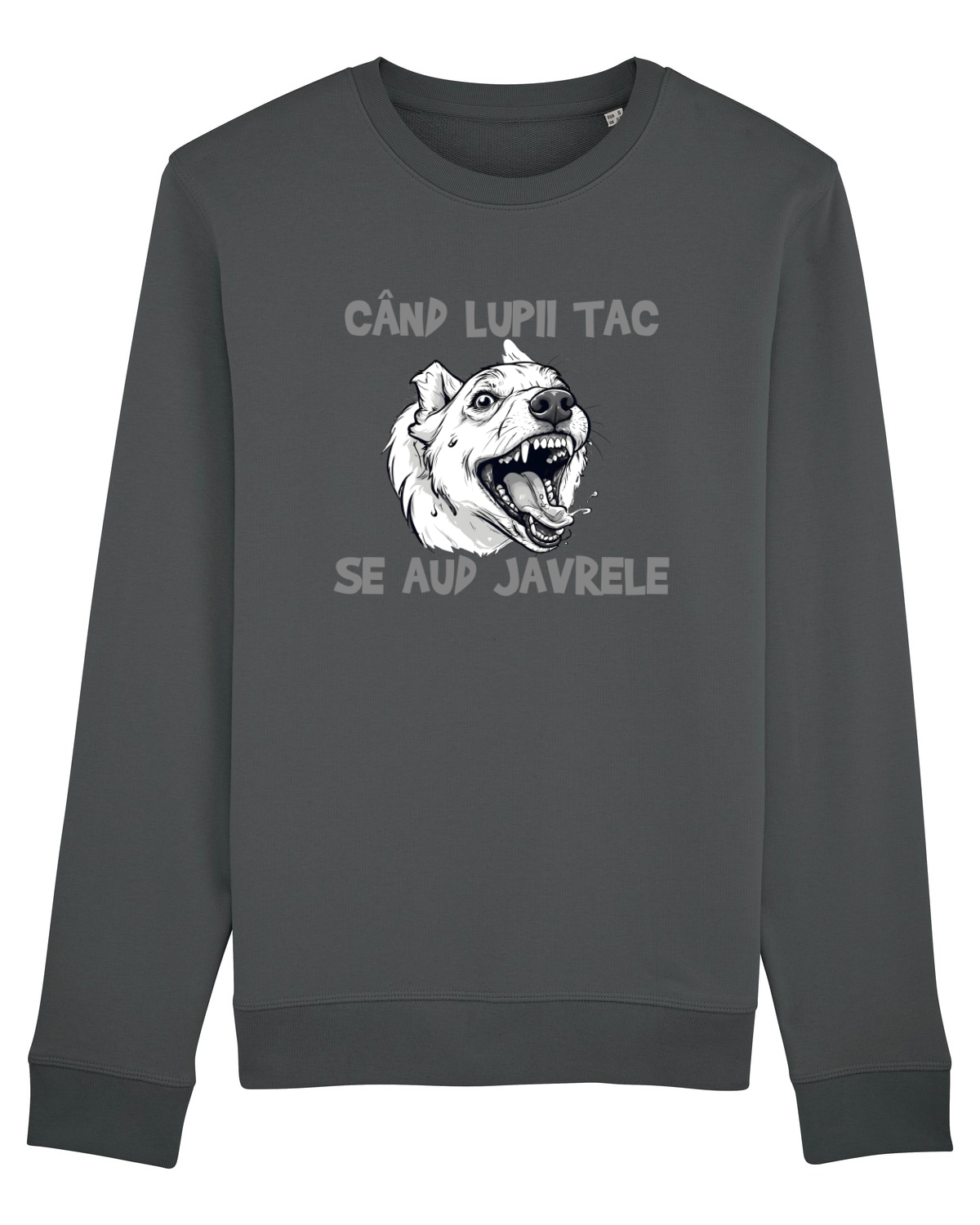Bluză mânecă lungă Unisex Rise Anthracite