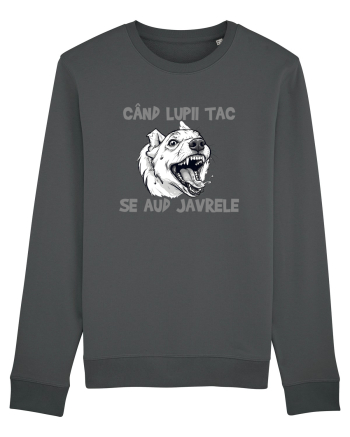 CAND LUPII TAC, SE AUD JAVRELE 1 Anthracite