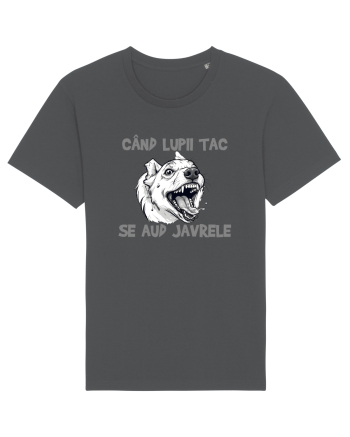 CAND LUPII TAC, SE AUD JAVRELE 1 Anthracite