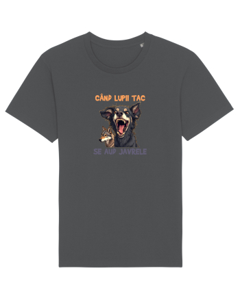CAND LUPII TAC, SE AUD JAVRELE 5 Anthracite