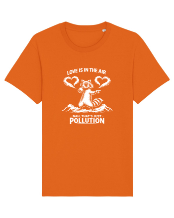 Love Is in the Air. Sau Nu. Bright Orange