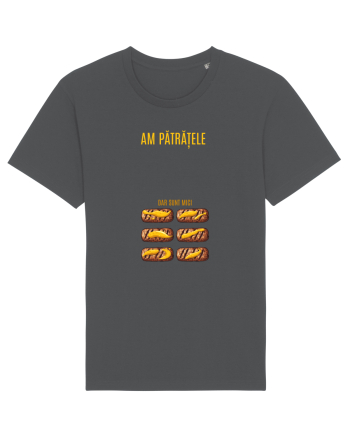 AM PATRATELE... DAR SUNT MICI (cu mustar) Anthracite