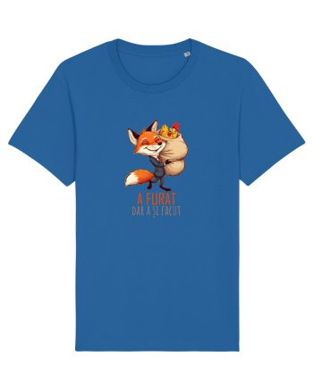 A FURAT, DAR A SI FACUT -  gaina furata - Mentalitate romaneasca. Romani Royal Blue