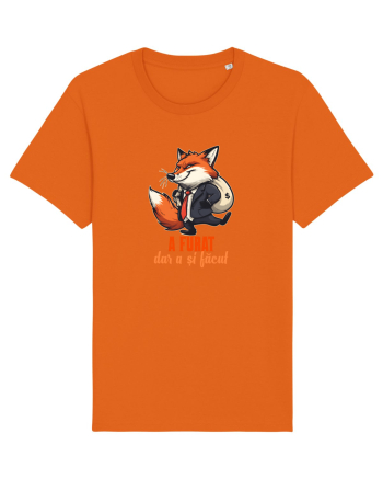 A FURAT, DAR A SI FACUT - sac cu bani - Mentalitate romaneasca. Romani Bright Orange