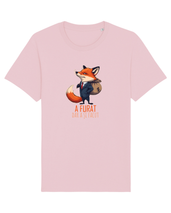A FURAT, DAR A SI FACUT - sac cu bani - Mentalitate romaneasca. Romani 2 Cotton Pink